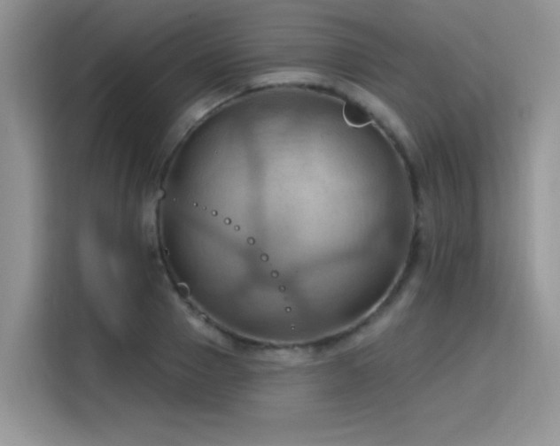 X0000115790937200911201329