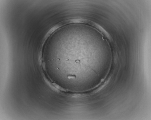 X0000115790938200911201329