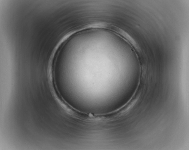 X0000115790939200911201329