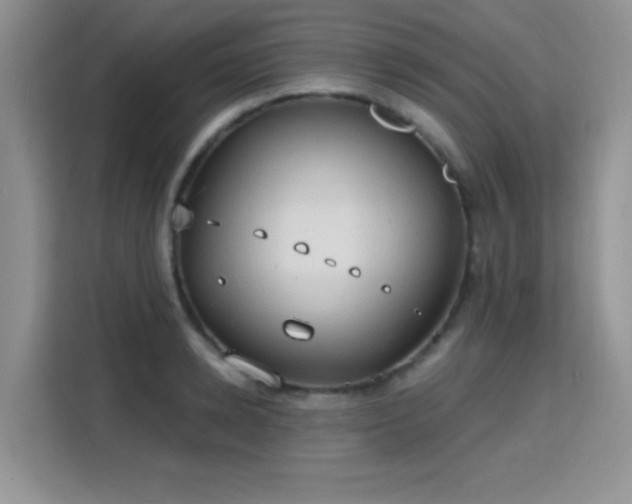 X0000115790942200911201329