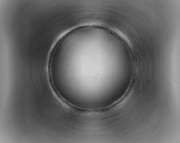 X0000115790943200911201329