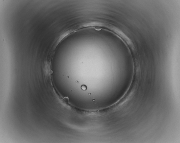 X0000115790945200911201329