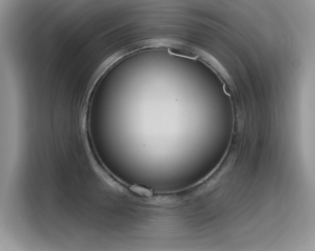 X0000115790946200911201329