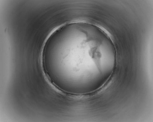 X0000115790949200911201329