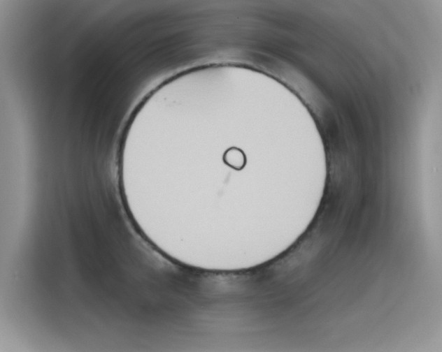 X0000115790950200911201329