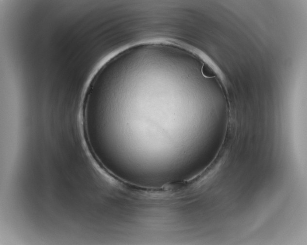 X0000115790951200911201329