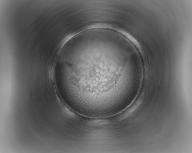 X0000115790953200911201329