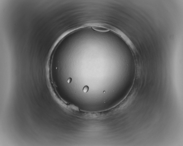 X0000115790955200911201329