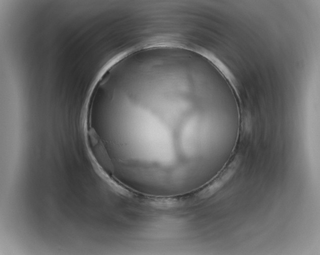 X0000115790957200911201329