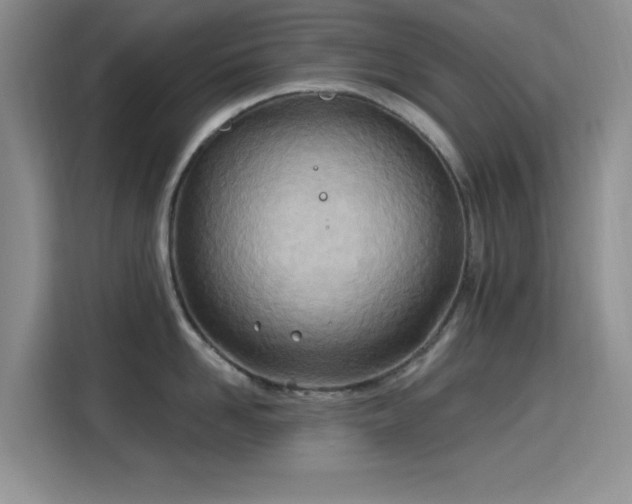 X0000115790958200911201329