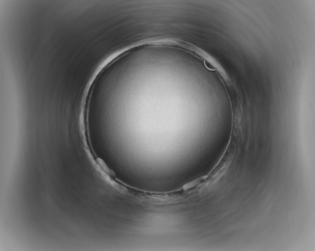 X0000115790959200911201329