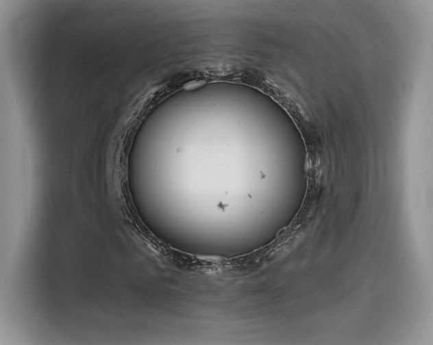 X0000115790961200911201329