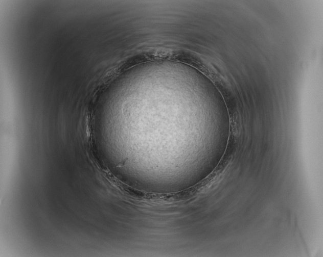 X0000115790962200911201329