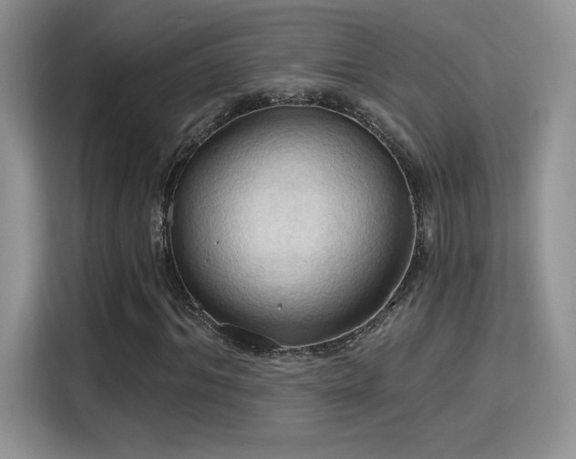 X0000115790964200911201329