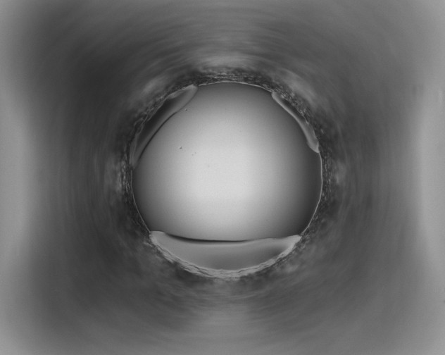 X0000115790965200911201329