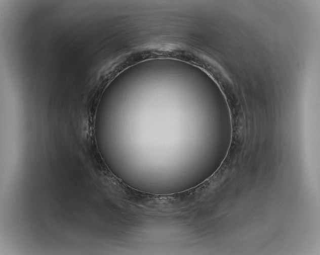 X0000115790966200911201329