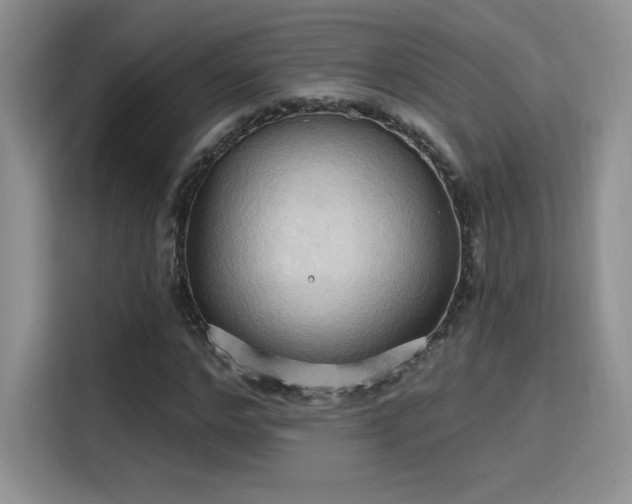 X0000115790968200911201329