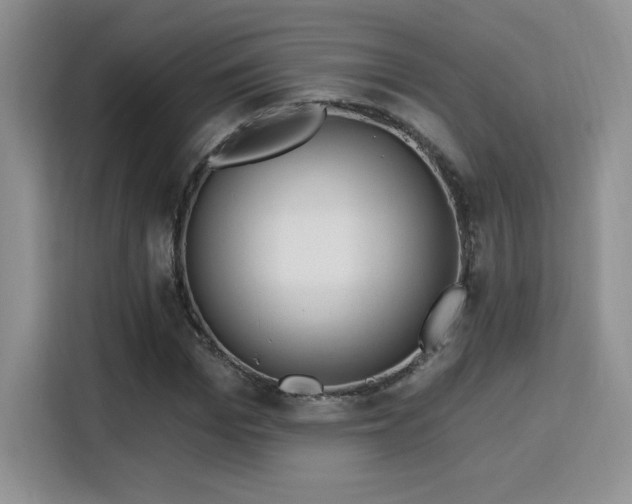 X0000115790969200911201329