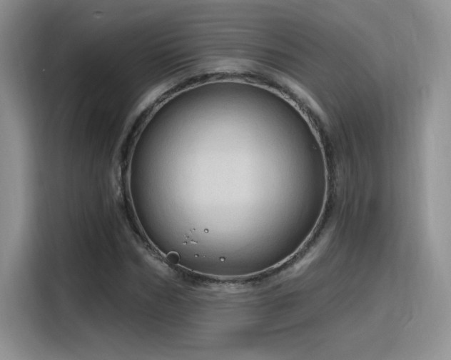 X0000115790970200911201329