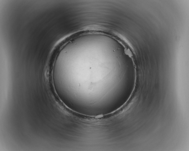 X0000115790971200911201329