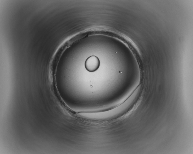 X0000115790973200911201329