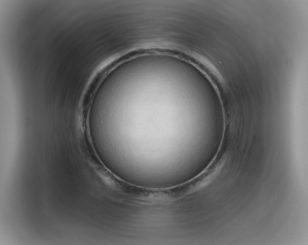 X0000115790974200911201328