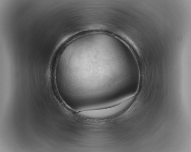 X0000115790975200911201328