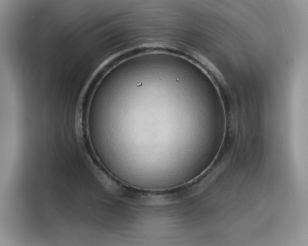 X0000115790976200911201328