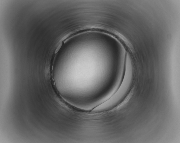 X0000115790977200911201328