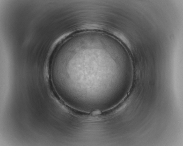 X0000115790979200911201328