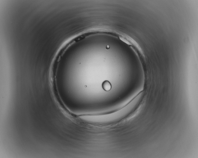 X0000115790981200911201328