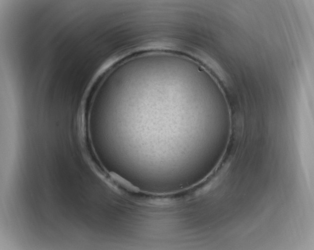 X0000115790982200911201328