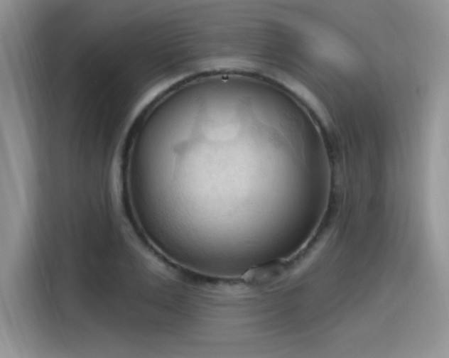 X0000115790983200911201328