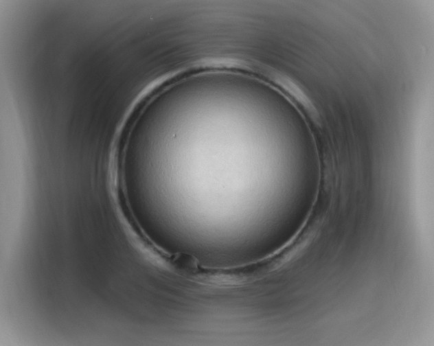 X0000115790984200911201328