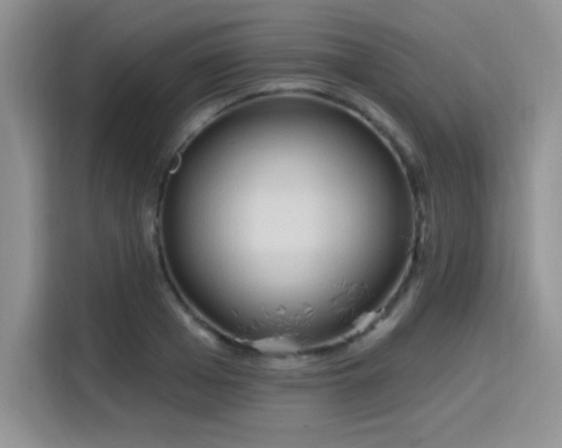 X0000115790985200911201328