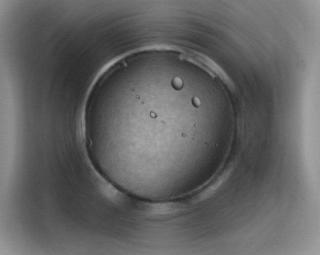 X0000115790988200911201328