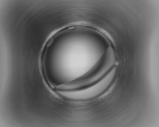 X0000115790989200911201328