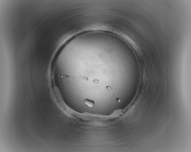 X0000115790990200911201328