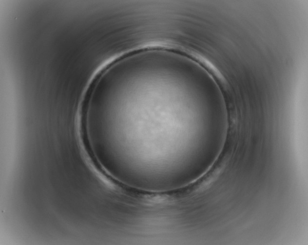 X0000115790991200911201328