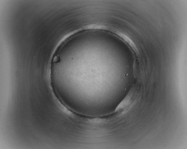 X0000115790992200911201328