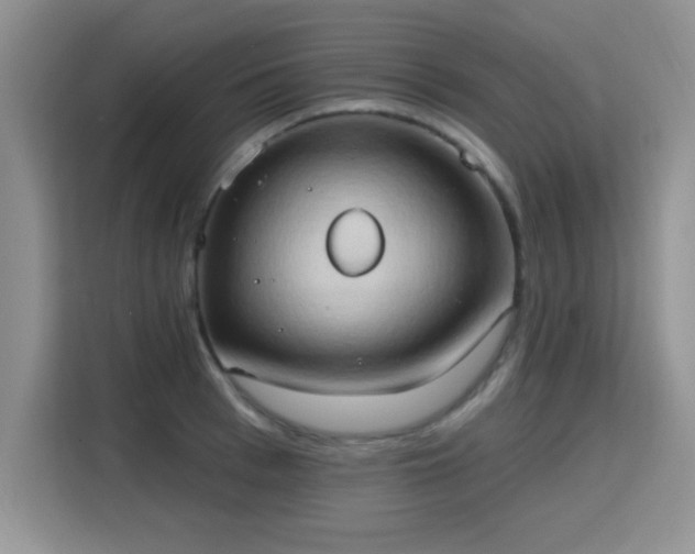 X0000115790993200911201328