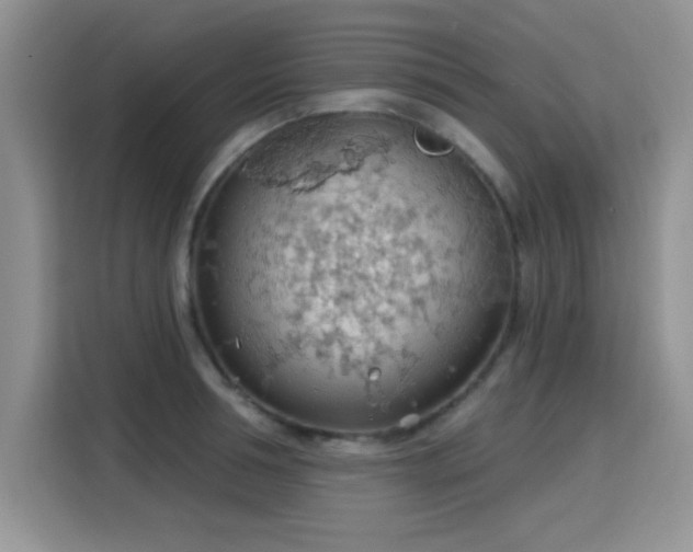 X0000115790994200911201328