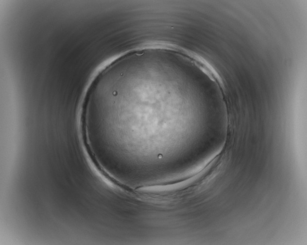 X0000115790995200911201328