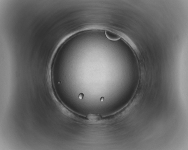 X0000115790996200911201328