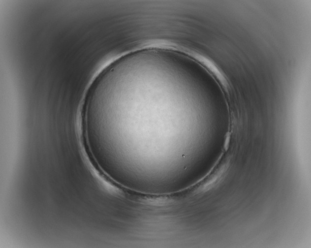 X0000115790999200911201328