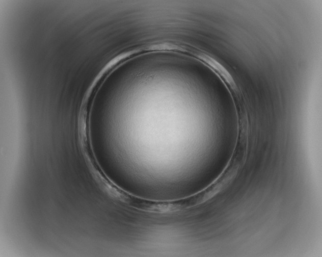 X0000115791000200911201328