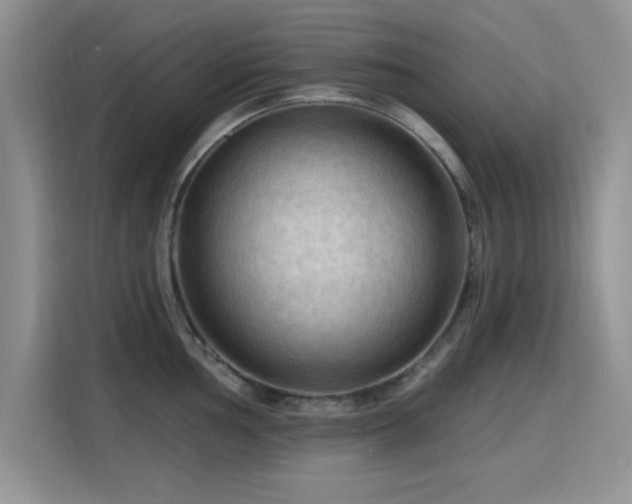 X0000115791002200911201328