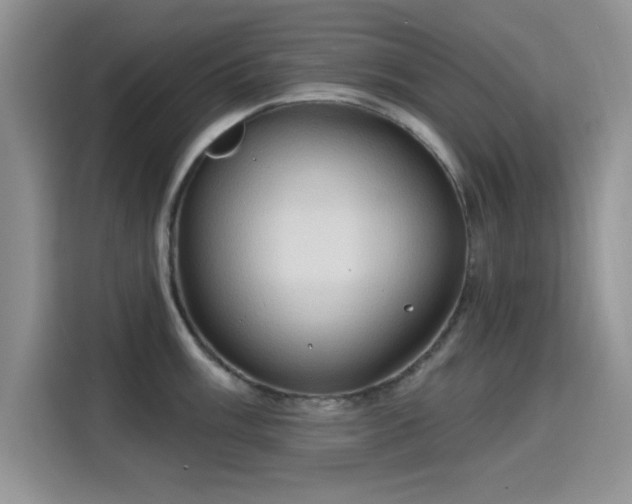 X0000115791003200911201328