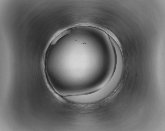 X0000115791005200911201328