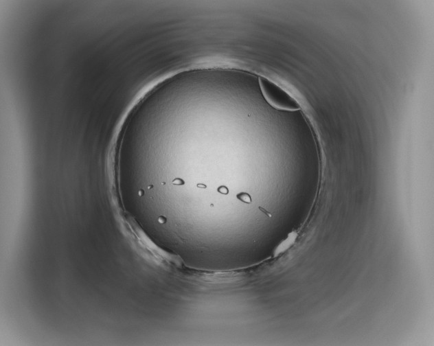 X0000115791008200911201328